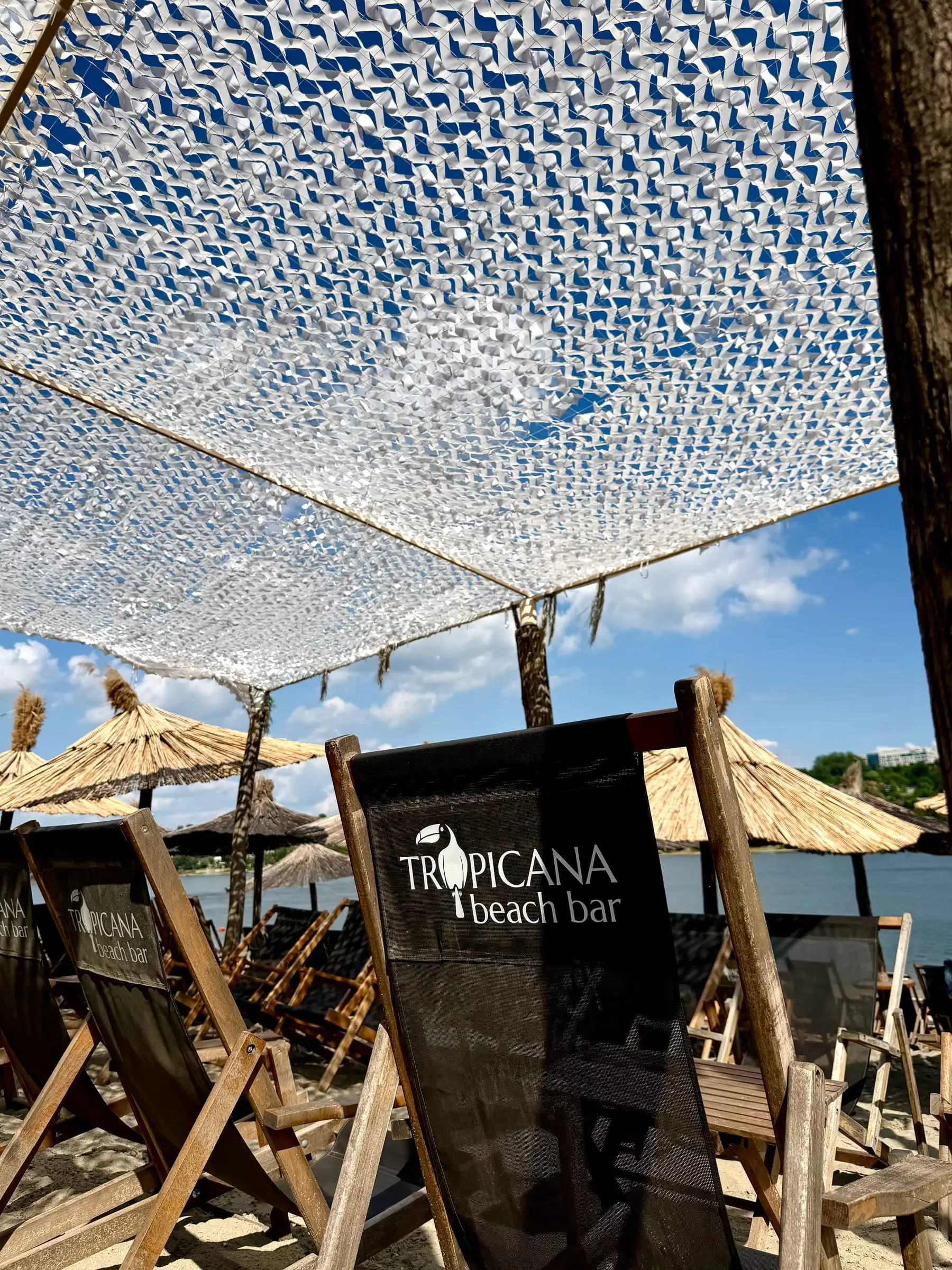 Ležaljke sa Tropicana logom ispod suncobrana